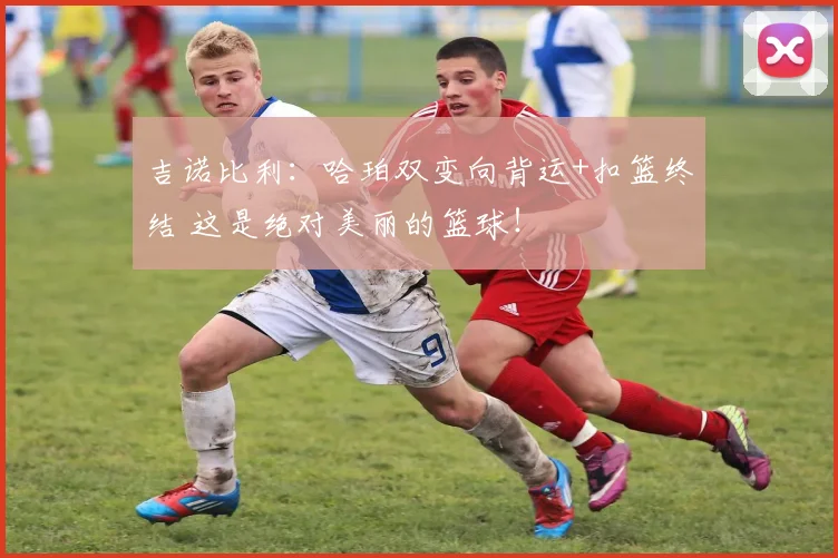 吉诺比利：哈珀双变向背运+扣篮终结 这是绝对美丽的篮球！